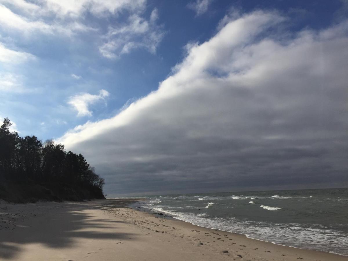 Dzikie Gaski Exteriör bild